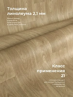 Линолеум D None Стимул Константа 2